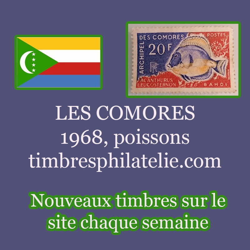 pour le 11 octobre 2023