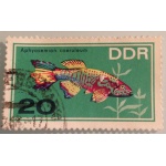 a33