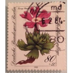 a69