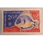lc24_438775567