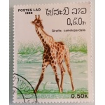 lo6_727721518