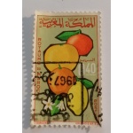 ma30_843581999