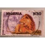 nga4_943828355