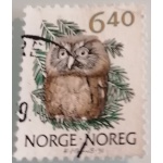 no24