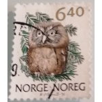 no24_1570492784
