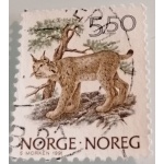 no25
