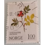 no7